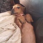 Marcus Britton - @thatguyontheroad - Instagram