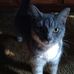 Mark Britton - Facebook