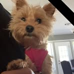Marcus Brooks - Facebook