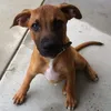 Marcus Brumfield - @marcus.brumfield - TikTok