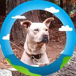 Buford Burkett - @bufordmarcus24 - Instagram