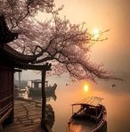 Marcus Bùi - Facebook
