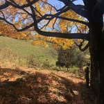 Marcus Christy Burch - @burch6756 - Instagram