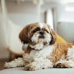 marcus busch - @marcus_busch_67 - Instagram
