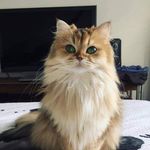 Marcus Busch - @busch3633 - Instagram