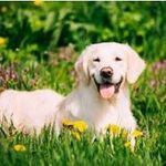 marcus Busch - @marxusbusch3345 - Instagram