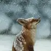 Markus Busch - @markus.busch05 - TikTok