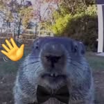 Marcus Cabrera - @marcuscabrera29 - Instagram