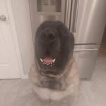 Marcus Cary - @marcuscary1966 - Instagram