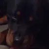 Marcus K? - @marcuschappell4real - TikTok