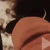 😼MARCUS LEFT ASS CHEEK🫆🥀 - @imgonnathrowuponyou.0 - TikTok