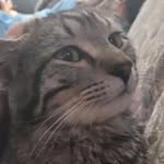Marcus Chevalier - @marcus1258482013 - Instagram