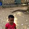 Chisom Marcus - @chisommarcus1 - TikTok