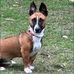 Marcus Clancy-Lowe - Facebook