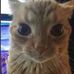 Marcus Clarkson - Facebook
