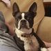 Marcus Claxton - Facebook