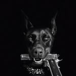 Marcus Cline - @marcustf443 - Instagram