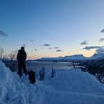 Marcus Co - @marcuscoconut - Instagram
