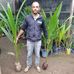 Marcus mudas de coco anão e frutíferas - Facebook