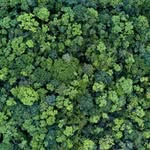 Marcus Colson - @marcuscolson6882 - Instagram