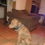 Marcus Combs - @marcuscombs54 - Instagram