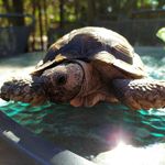 marcus connor - @la_tortuga_marcus - Instagram