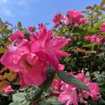 Marcus Connor - Facebook