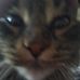 Markus Coonce - Facebook