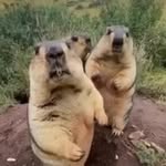 Marcus Cornejo - @mostlyboast - Instagram
