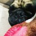 Marcus Cousin - Facebook