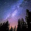 Marcus Covington - @marcus.covington0 - TikTok