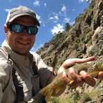 Marcus Cranford - @marcus_cranford - Instagram