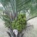 Marcus Creech - Facebook