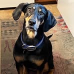 Mark Crenshaw - Facebook
