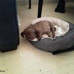 Marcus Culbert - Facebook