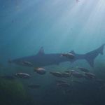Marcus Culp - @marcusjculp - Instagram