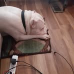 Marcus Culp - Facebook