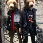 Marcus Curran - @baxterbear100 - Instagram