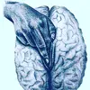 MARCUS DARLING - @marcus.darling - TikTok