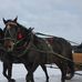 Marcus Darr - Facebook