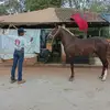 Marcus Davi - @marcus.davi57 - TikTok