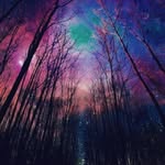 Marcus Davidson - @marcus_davidson_98 - Instagram