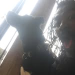 Marcus Davidson Akins - @marcusdavidsonmc - Instagram