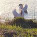 Marcus De Long - Facebook