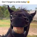 Marcus Deming - Facebook