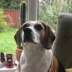 Marcus Dickinson - @hahjajjjjuu - Instagram