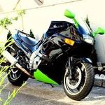Marcus Diehl - @marcus.diehl.121 - Instagram