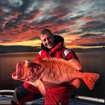 Marcus Dietze - @marcus.dietze - Instagram