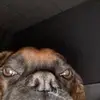 Marcus Dominguez - @smd12322 - TikTok