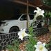 Marcos Dorey - Facebook